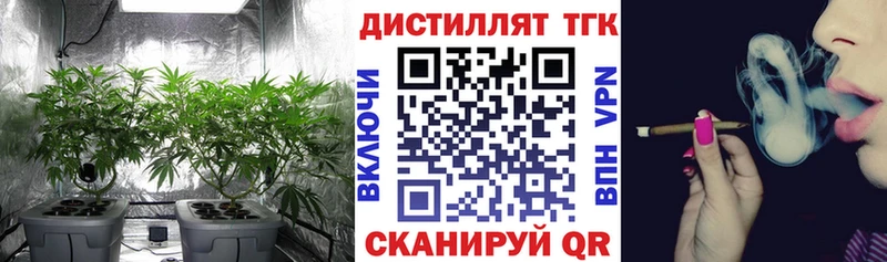 ТГК Wax Электрогорск