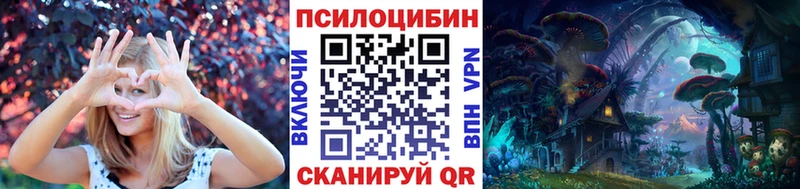MEGA ссылки  Электрогорск  Галлюциногенные грибы Cubensis  дарнет шоп 